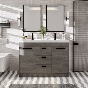 Wade Logan® Wauconda 48'' Free Standing Double Bathroom Vanity with ...
