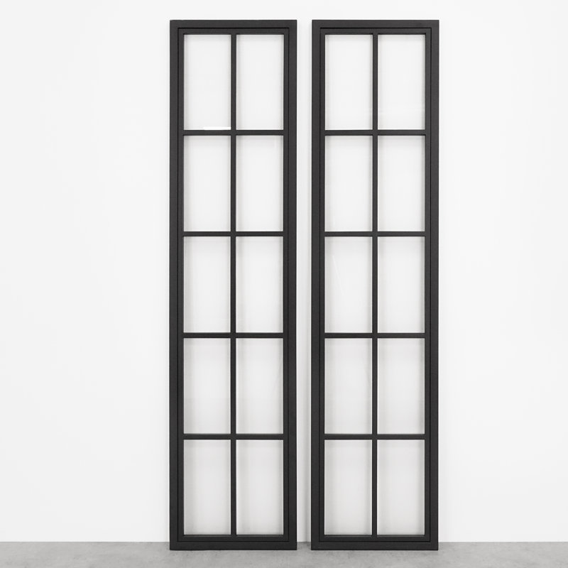 Metal Frame with Glass Barn Door