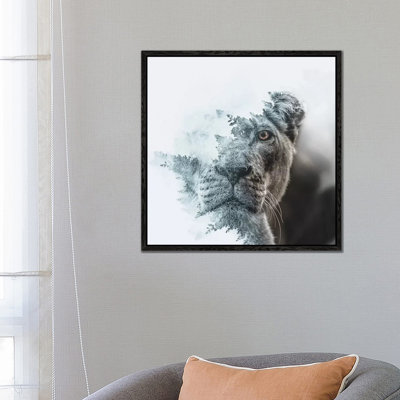 Lioness by Paul Haag - Print on Canvas