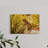 Selective Focus of Rock Hyrax-2031024781