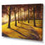Chemin de randonnée pédestre dans la forêt ensoleillée, impression sur toile-67331334-67331333