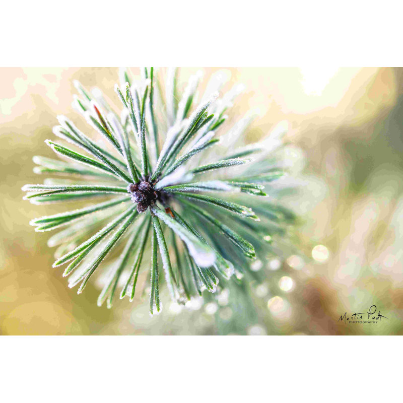 Détails d'hiver par Martin Podt - reproduction, H 8 po x l 12 po, Non, Toile tendue