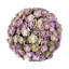 Decorative Chick Succulent Balls