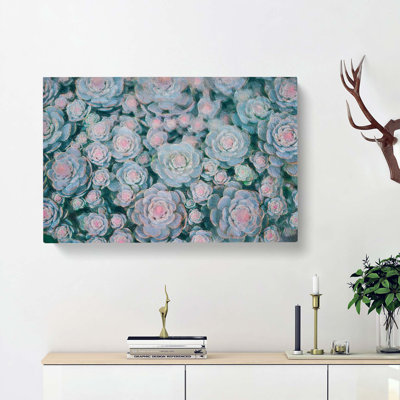 Succulent Plants - Wrapped Canvas Painting