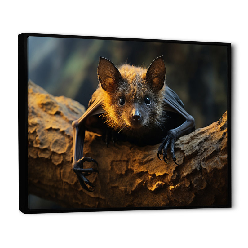 Portrait de chauve-souris II - animaux, impressions sur toile, Cadre flottant noir, H 34 po x l 44 po x P 1,5 po
