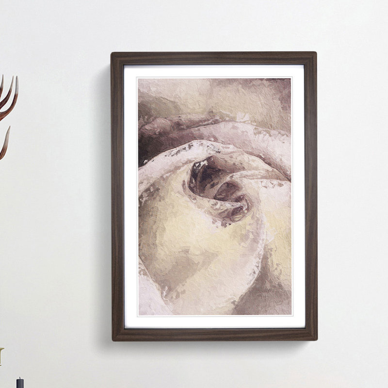 Pale Pink Rose - Framed Print, 36cm H x 27cm W x 2cm D, Walnut Framed