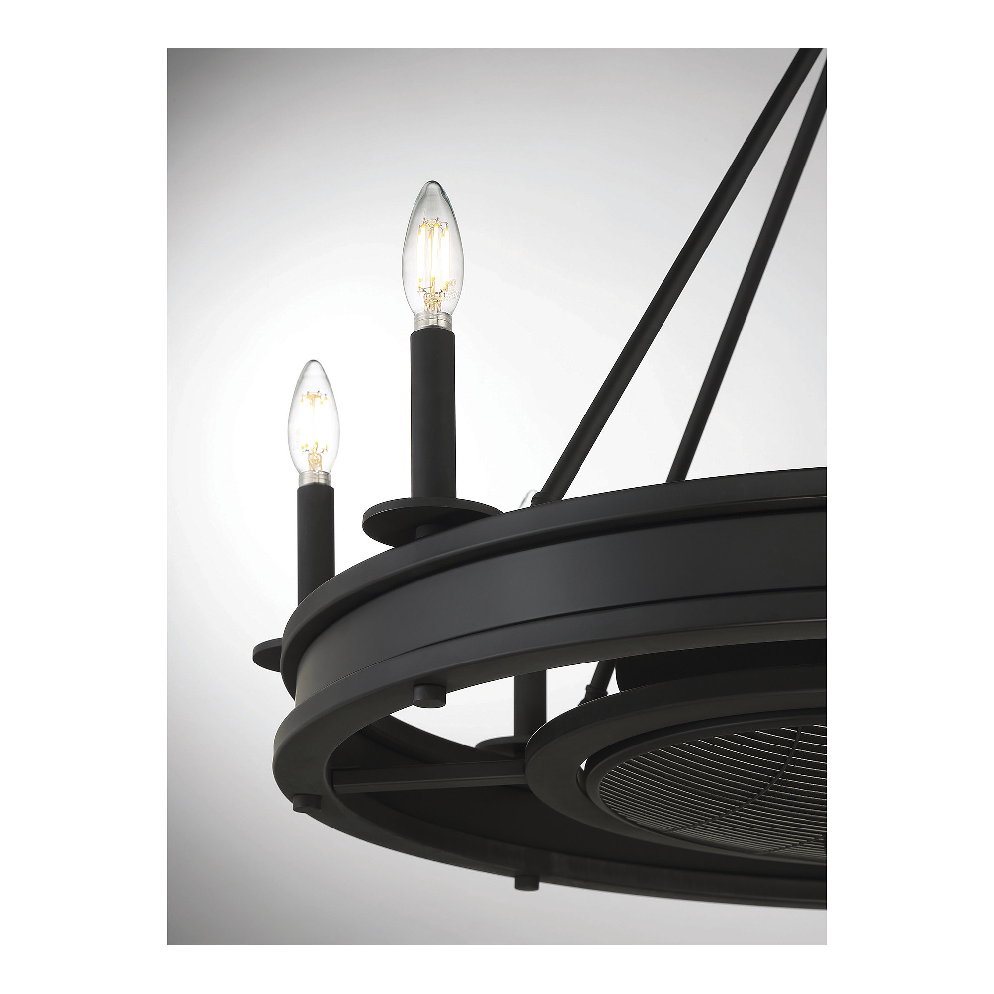 Taylorsville 30" 8-Light Fandelier with Remote Control, Matte Black