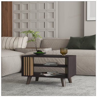 Table basse en wengé et chêne naturel avec rangement ouvert, parfaite pour les intérieurs modernes et rustiques
