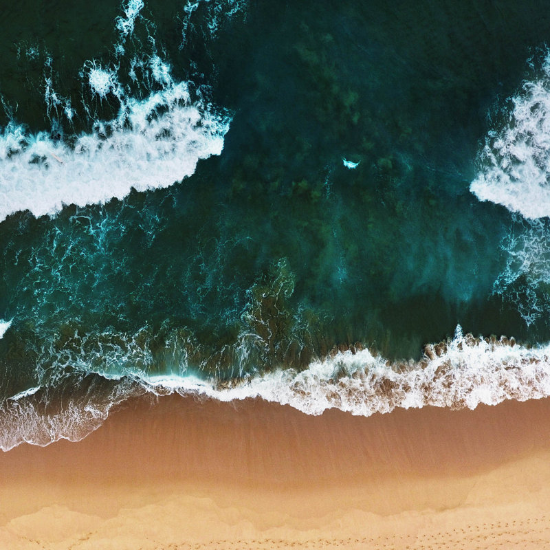 Art Of Nature 010 (Square)