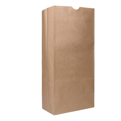 Sacs en papier kraft brun Ecoqualité de 25 lb, pour les collations, le déjeuner, les sacs-cadeaux, l'épicerie et les produits (300)
