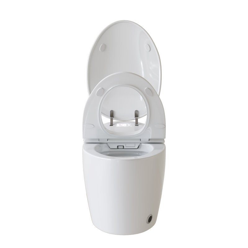 Intelligent One-piece Toilets With Bidet, Ceramic Design, Ideal For Modern Home