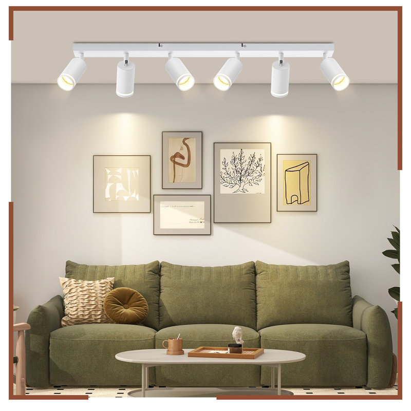 Robynne Spotlight