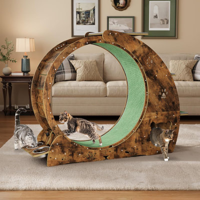 Roue intérieure 4 en 1 pour chat, grande roue silencieuse avec patin à gratter, rouleau de jeu et base en bois stable pour chats actifs