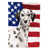 Dalmatien sélectionné