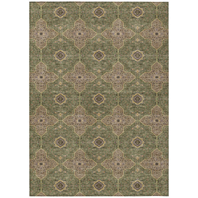 Machine Washable Indoor/Outdoor Chantille ACN2410 Global Rug