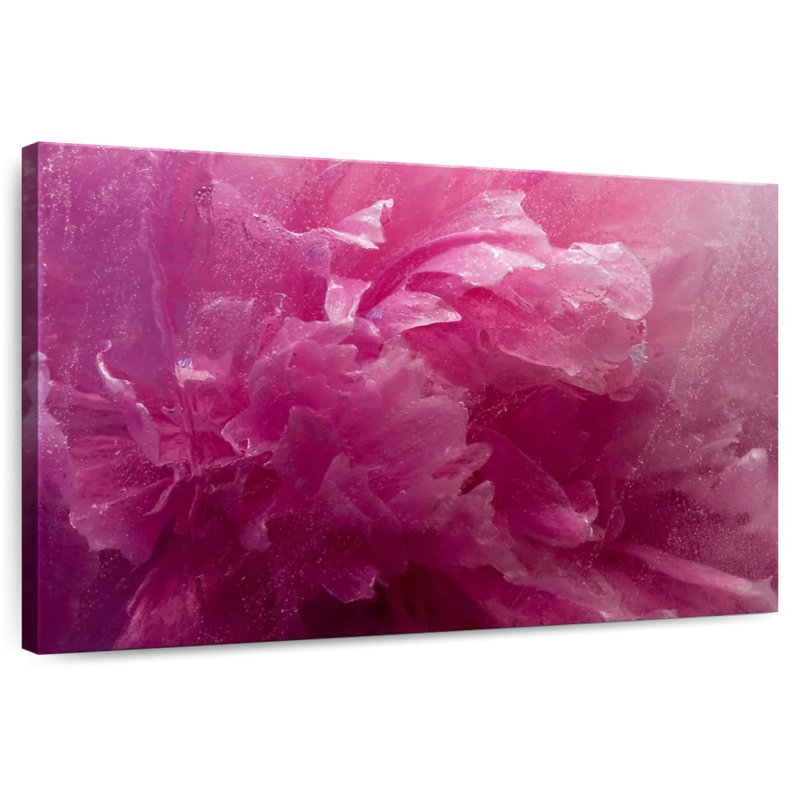 Pivoine rose Harnek, H 26 po x l 39 po