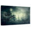 Forêt sombre et sombre-416109293