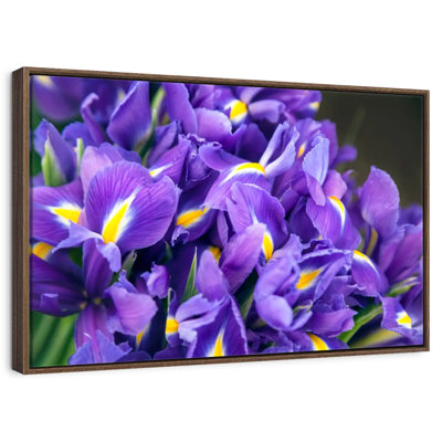 Violet Irises