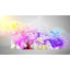 Coussin Rocky Beach with Dramatic Sky - Sea & Shore-29596552-29596556