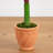 Banana Artificial Tree in Terracotta Planter