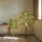 Lighted Ficus Tree 4ft 140l
