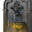 Fontaine extérieure Fleur-De-Lis avec lumière chaude-114318018