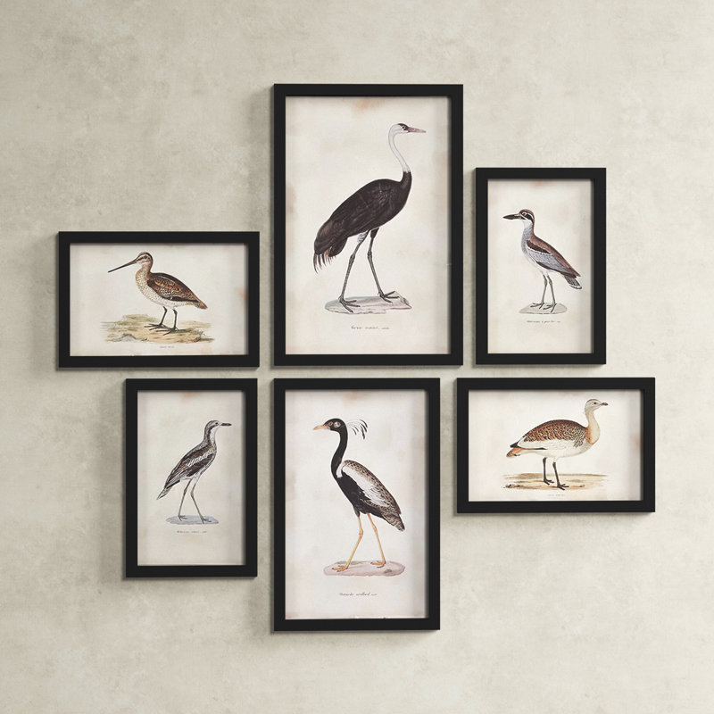Waterfowl Gallery 6-Piece Aquatic Bird Art Print Set