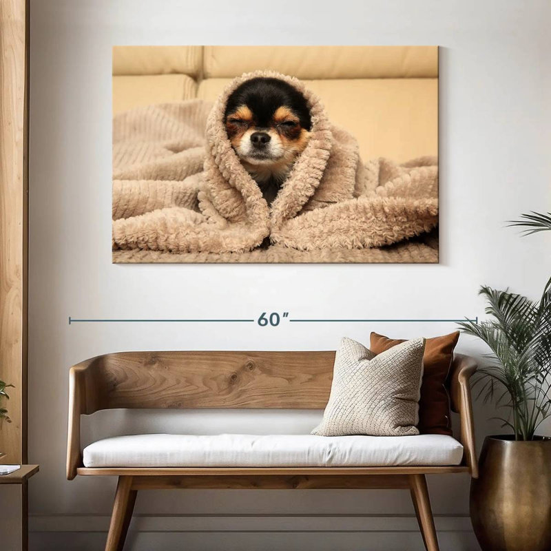 Chihuahua douillet Brampt, H 32 po x l 48 po
