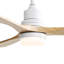 Ceiling Fan with LED Lights