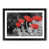 Black Framed selected