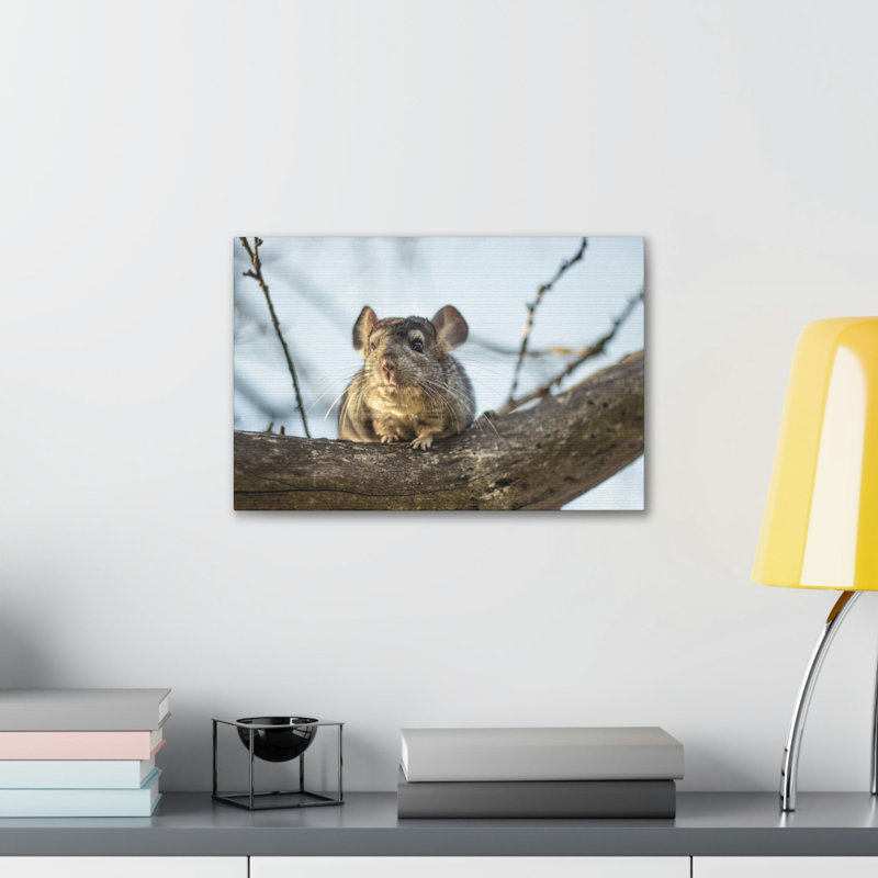 No Frame Print on Canvas, 12cm H x 18cm W