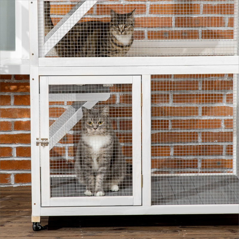 Maison d'extérieur pour chat avec plusieurs caractéristiques pour le confort et le divertissement félins