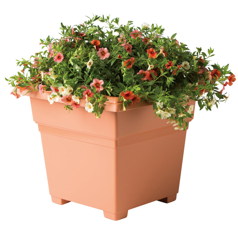 Jardinières en pot, Terra Cotta, H 13 po x l 14 po x P 14 po