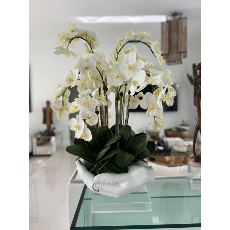 Orchid Floral Arrangement in Vase, White