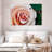Brampt Ladybug On A Rose II-107724344