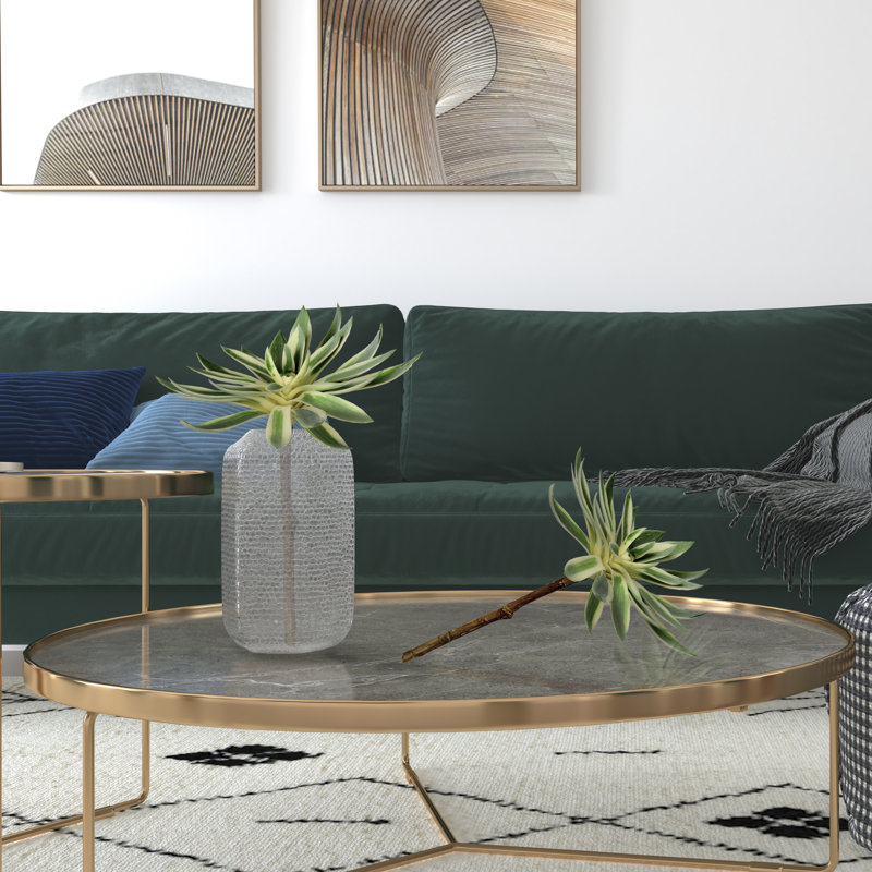 Tige de plante grasse