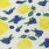Machine Washable Indoor/Outdoor Bourkelands ACN2354 Fruits Rug