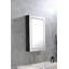 Armoire à pharmacie avec miroir 3 tablettes 24 W 36 H Krune
