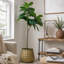 Ensemble de 3 jardinières en métal vieilli