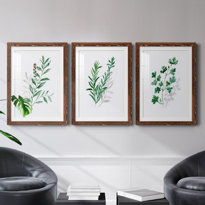 " Freshly Picked I " 3 Piece Art Painting