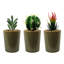 43.18cm Faux Plant in Ceramic Pot-1180899780