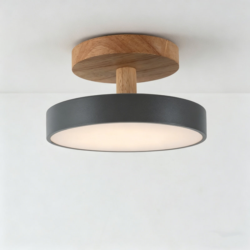 3 Colors Dimmable Modern Acrylic LED Ceiling Light