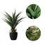 Agave plante artificielle avec pot-1812507841