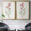 Delicate Pink I - ensemble de 2 reproductions d'art sur toile encadrées-61455388-61455390