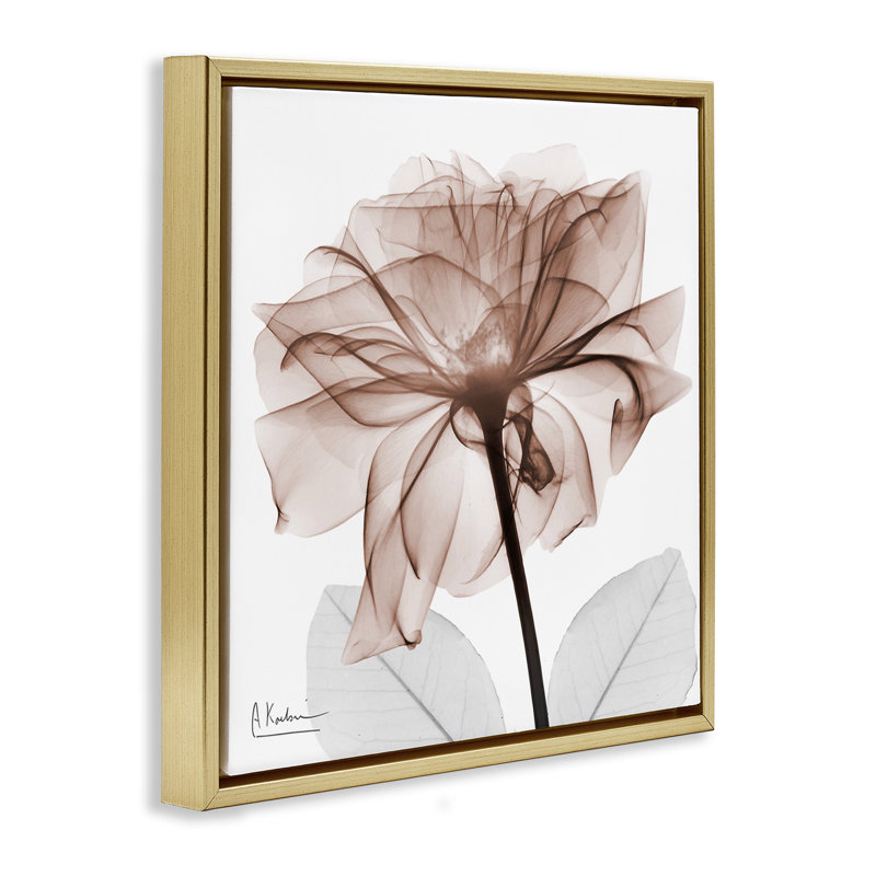 «Opaque Rose Blossom», art mural par Albert Koetsier, Cadre flottant gris lustré, H 18 po x l 18 po