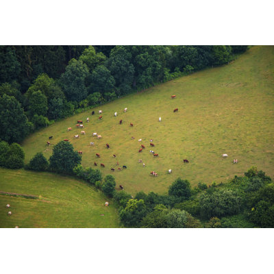 Photo Of Rural Landscape by Katerina Sisperova - Wrapped Canvas Print