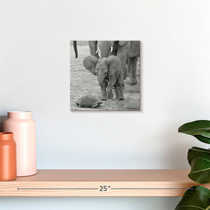 Crowle Elephant Baby I