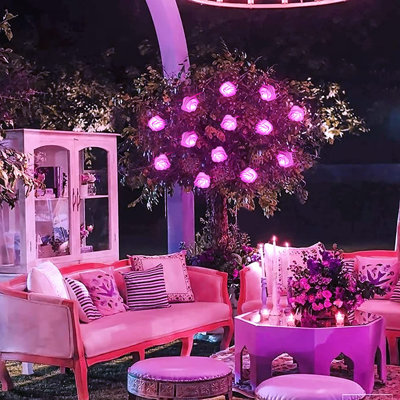Welke 196.8' LED Battery Powered 30 - Bulb String Lights