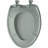 Elongated Toilet Seat and Lid-17383599