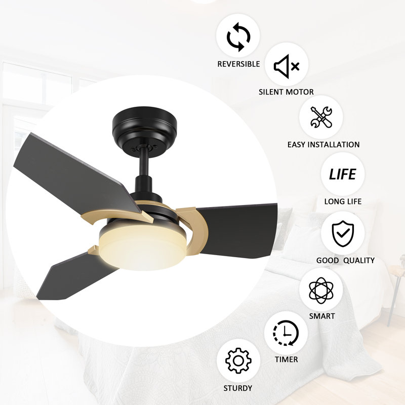 Alcia 52'' Ceiling Fan with LED Lights, Black/Golden